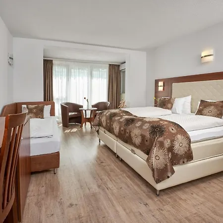 Отель Meyerhof Лёррах