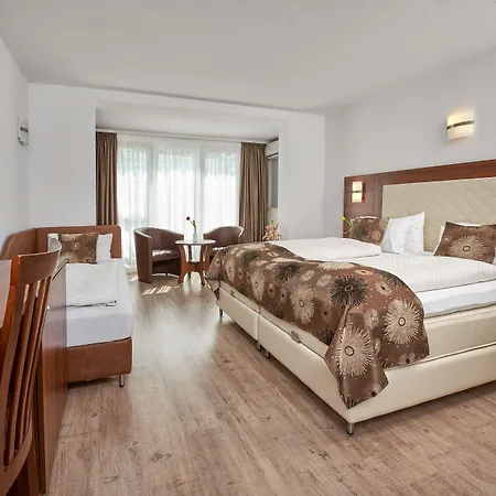 マイヤーホフ ホテル 3*