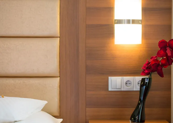 マイヤーホフ ホテル 3*