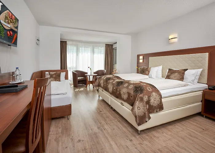 マイヤーホフ ホテル 3*